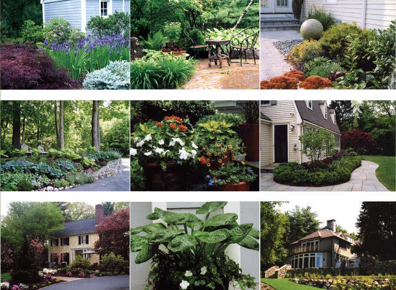 photographs of Patty's work